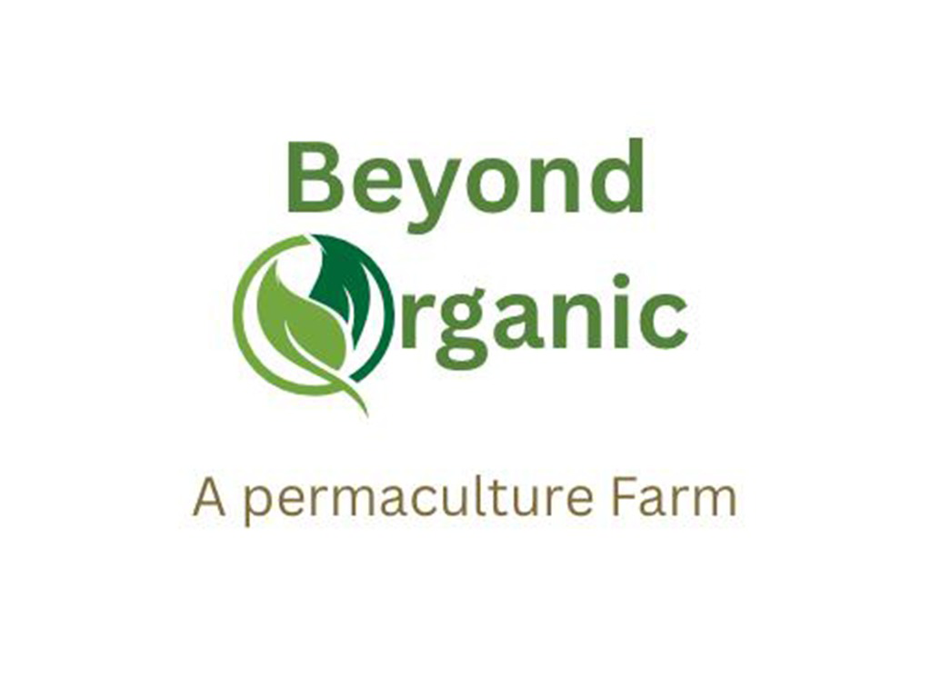 Beyond Organic
